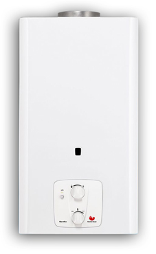 Saunier-duval Opalia C 11 Y v2 (calentador GN de tiro natural)
